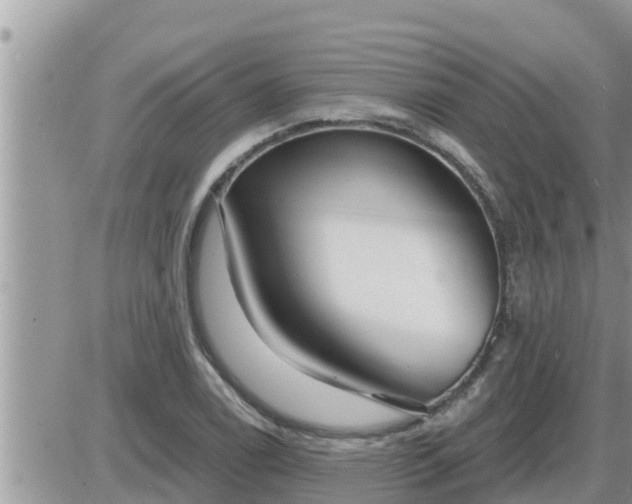 X0000087611122200705041552