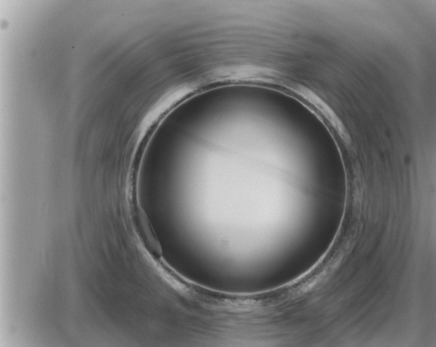 X0000087611285200705041550