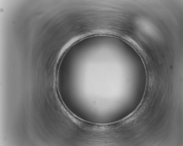 X0000087611286200705041550