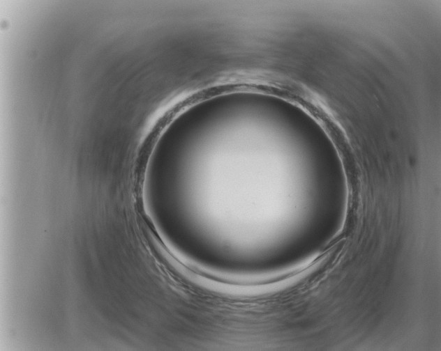 X0000087611312200705041549