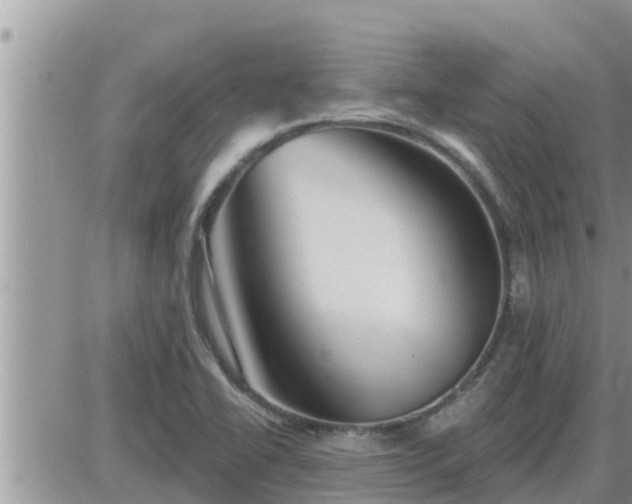 X0000087611414200705041548