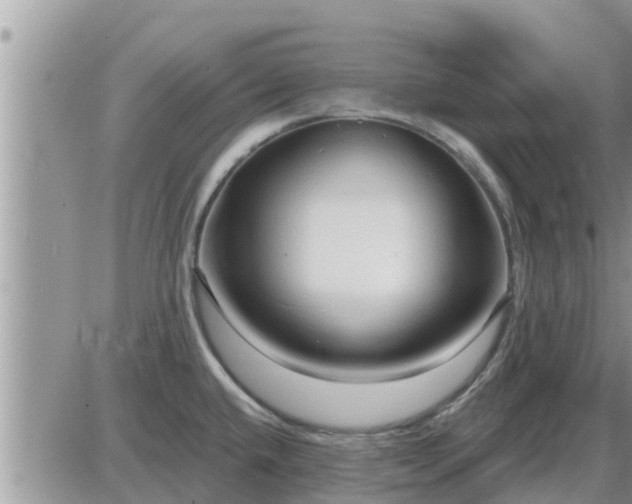 X0000087611432200705041548