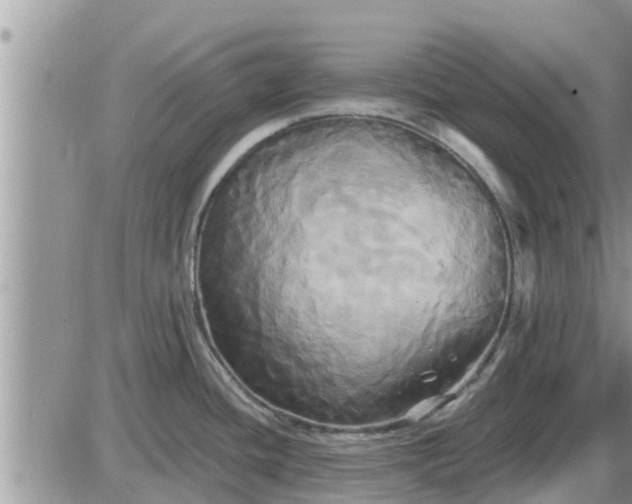 X0000087611436200705041548