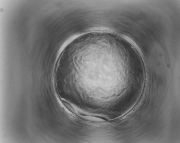 X0000087611440200705041548