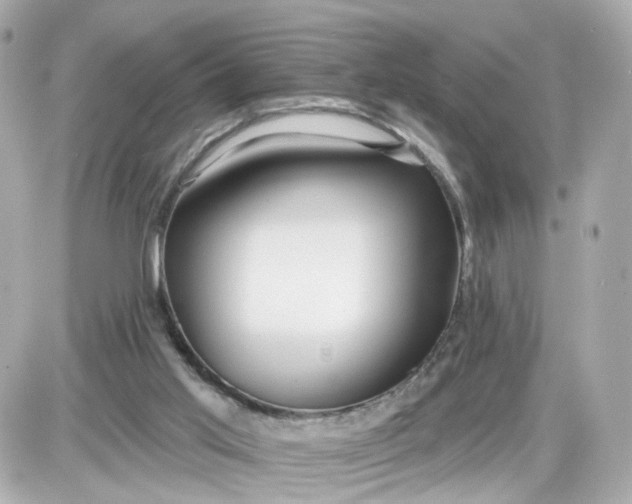 X0000087610013200705120005