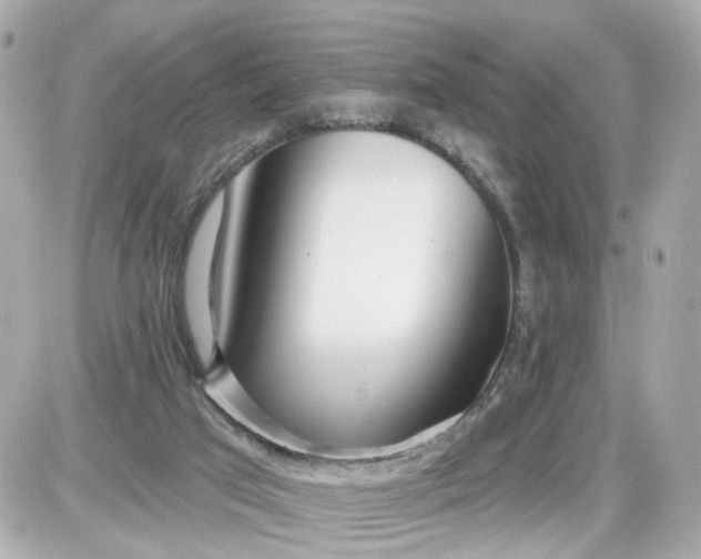 X0000087610017200705120005