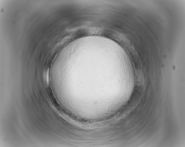 X0000087610028200705120004