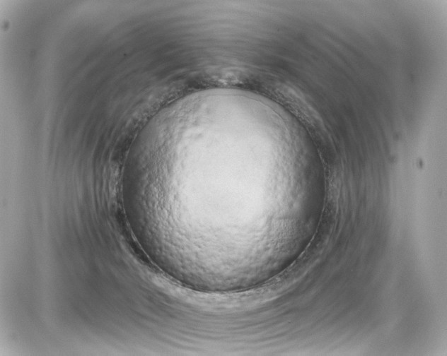 X0000087610030200705120004