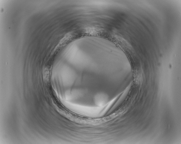 X0000087610036200705120004