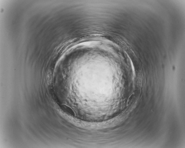 X0000087610043200705120004