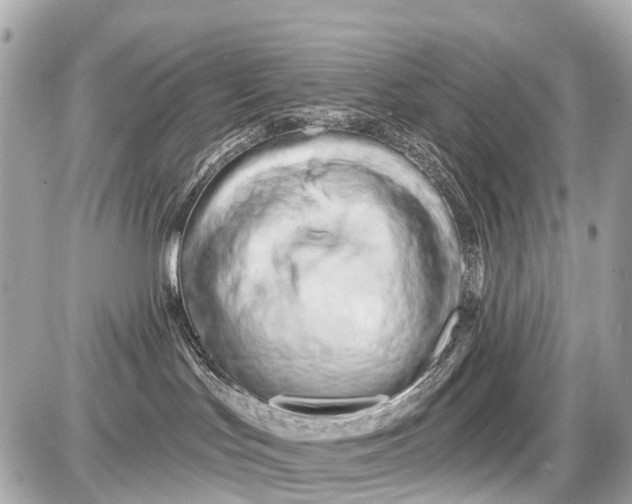X0000087610047200705120004