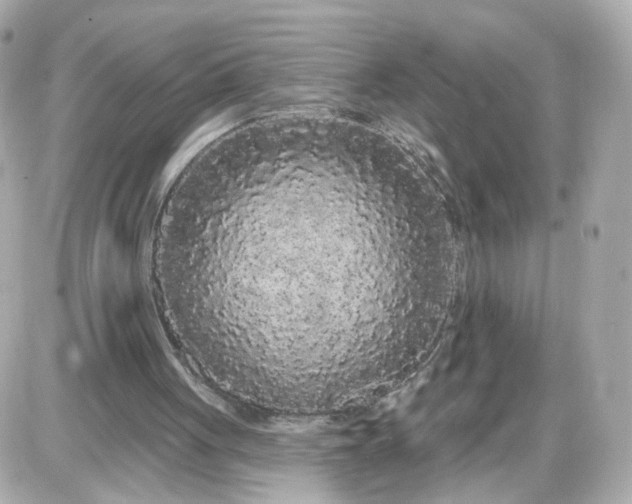 X0000087610051200705120003
