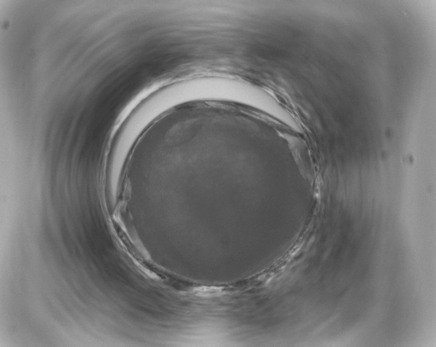 X0000087610052200705120003