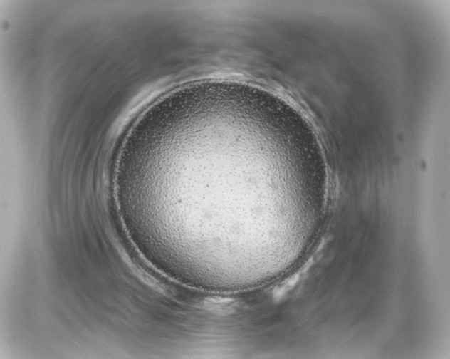 X0000087610055200705120003