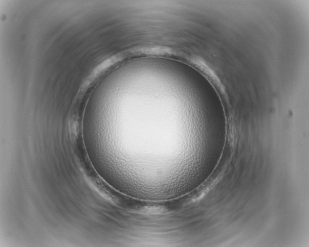 X0000087610063200705120003