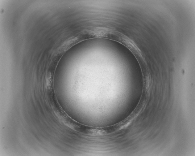X0000087610073200705120004