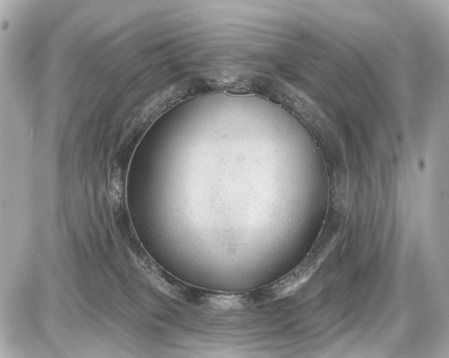 X0000087610085200705120004