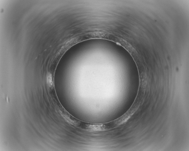 X0000087610089200705120004