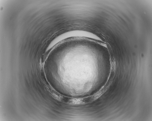 X0000087610093200705120004