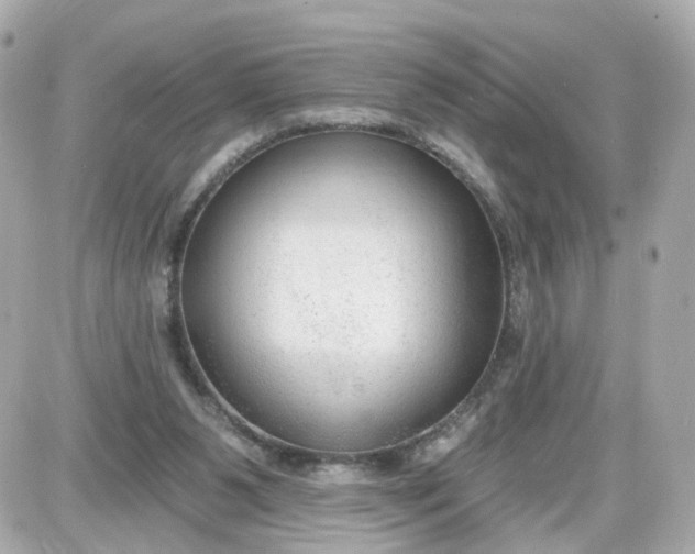 X0000087610111200705120003