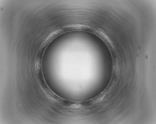 X0000087610119200705120003