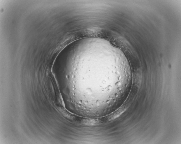 X0000087610131200705120003