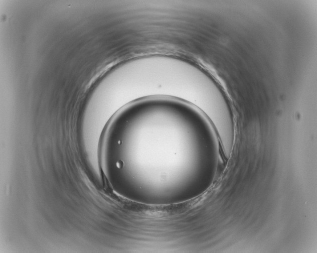 X0000087610154200705120002