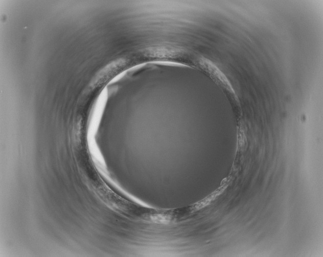 X0000087610163200705120002