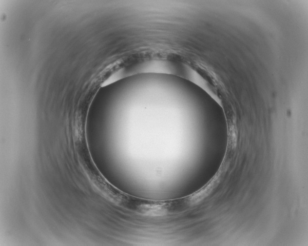 X0000087610170200705120002