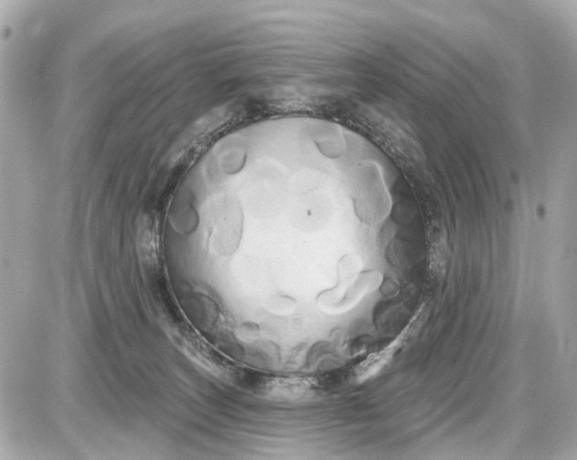 X0000087610179200705120002