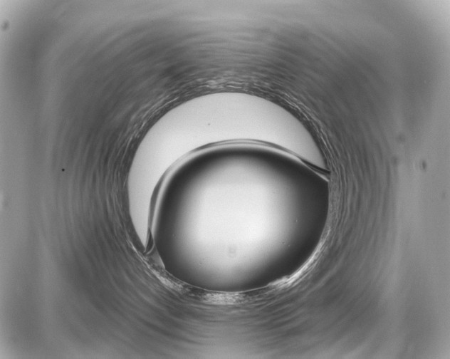 X0000087610192200705120002