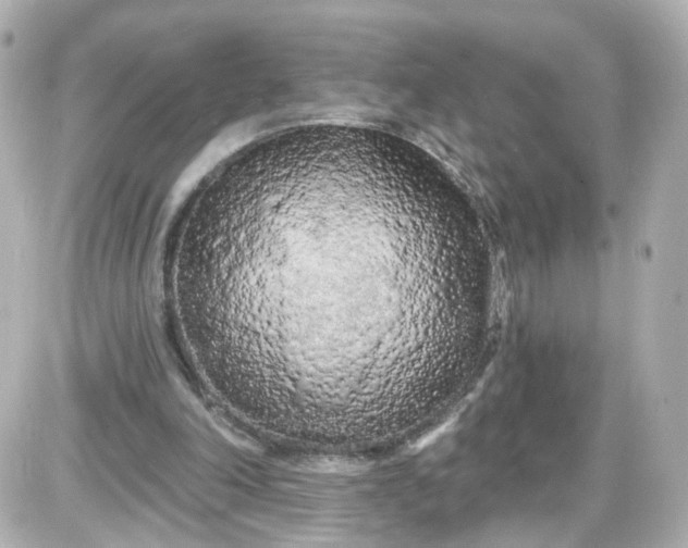 X0000087610198200705120002