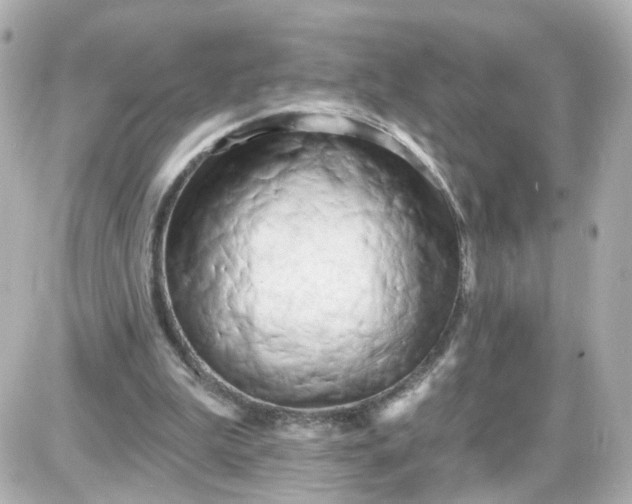 X0000087610199200705120002
