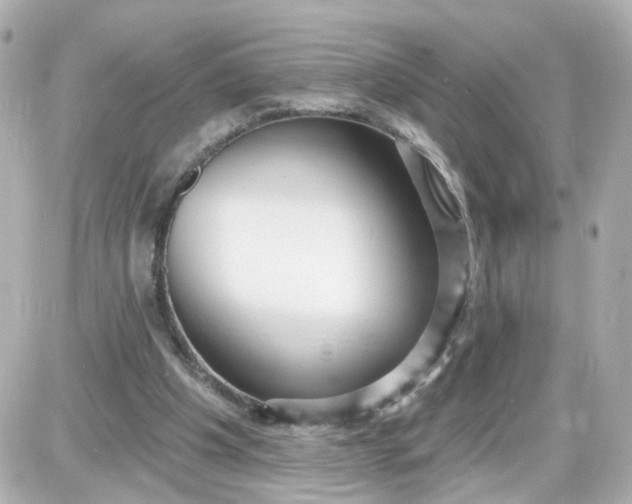 X0000087610201200705120002