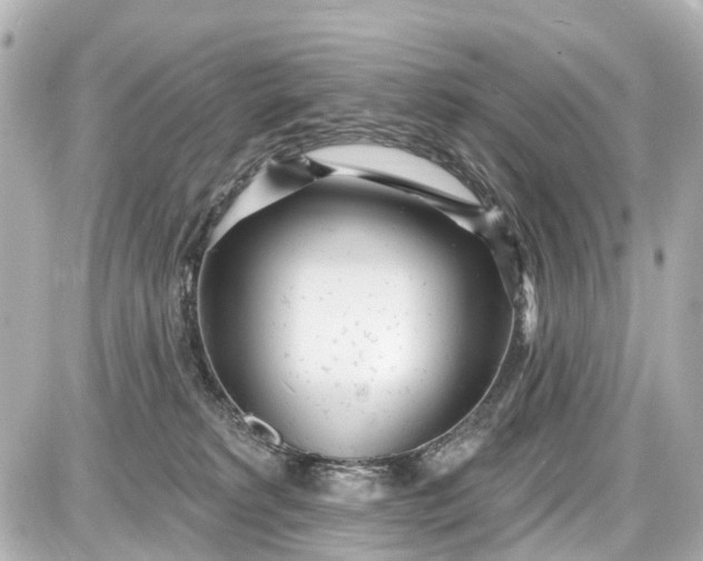 X0000087610229200705120001
