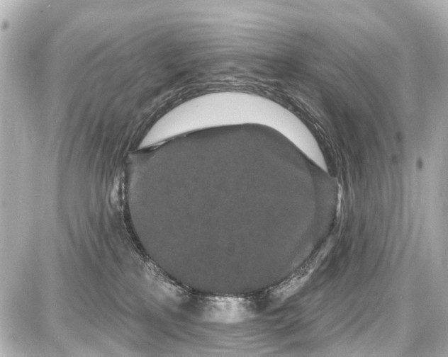 X0000087610233200705120001