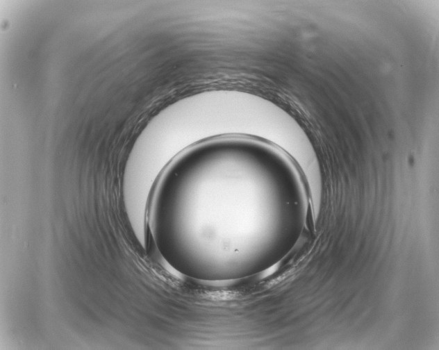X0000087610237200705120001