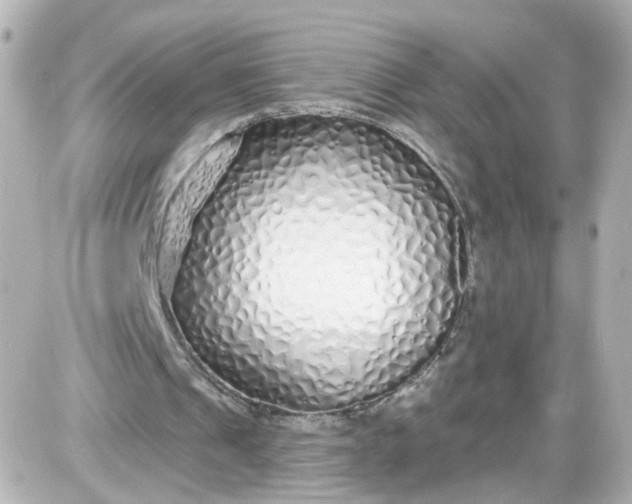 X0000087610241200705120000