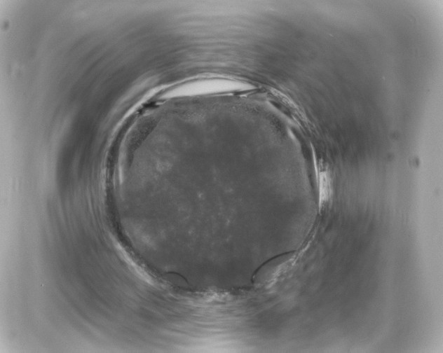 X0000087610243200705120000