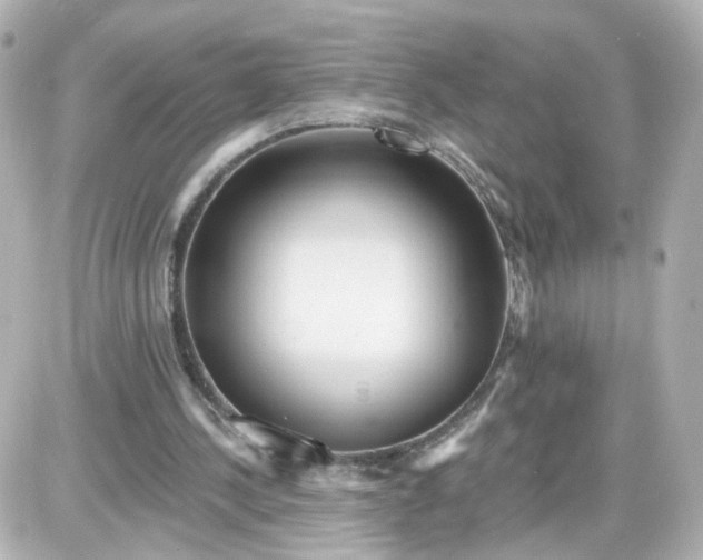 X0000087610244200705120000