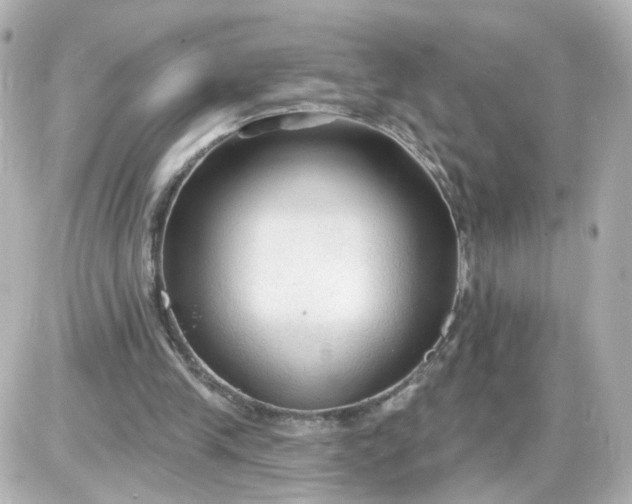 X0000087610245200705120000