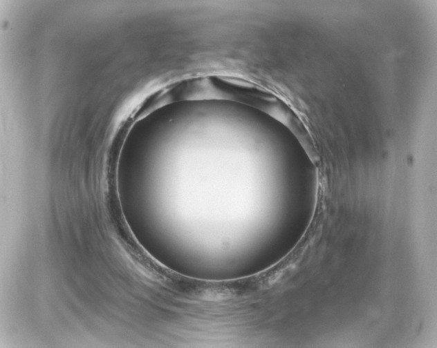 X0000087610248200705120000