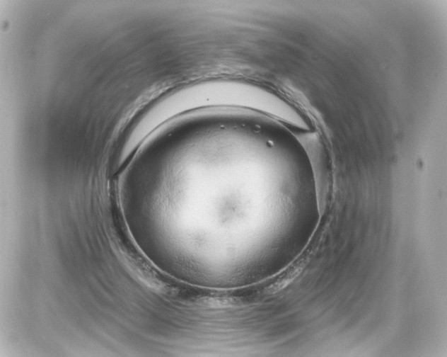 X0000087610250200705120000