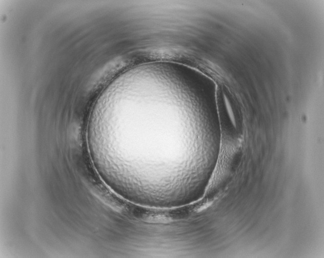 X0000087610258200705120000