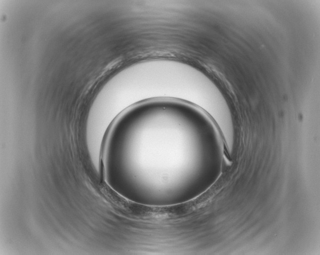 X0000087610260200705120000