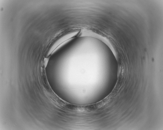 X0000087610264200705120000