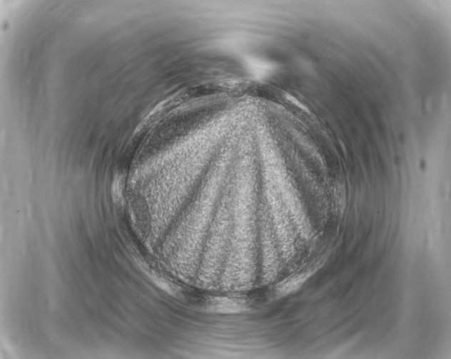 X0000087610286200705120001