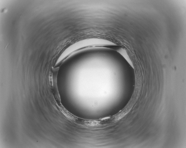 X0000087610288200705120001