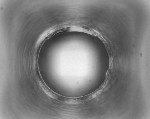 X0000087610293200705120000