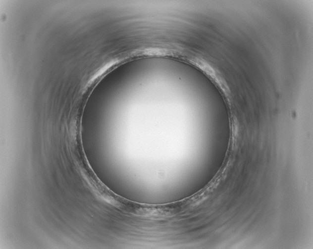 X0000087610297200705120000
